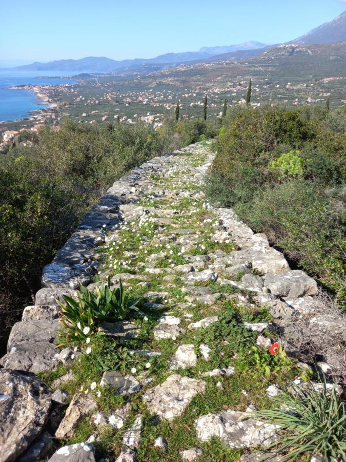 Villa Pefnos Agios Nikolaos  Ngoại thất bức ảnh