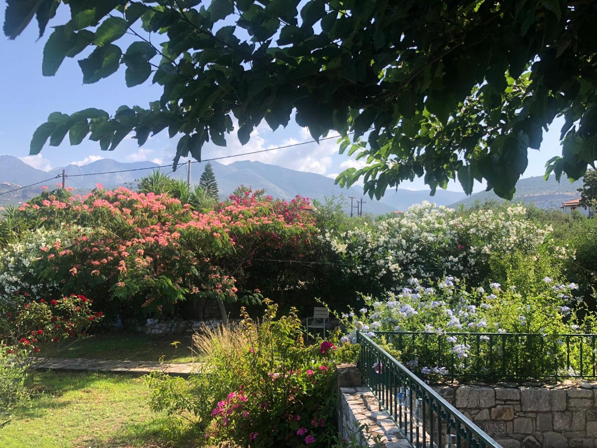 Villa Pefnos Agios Nikolaos  Ngoại thất bức ảnh